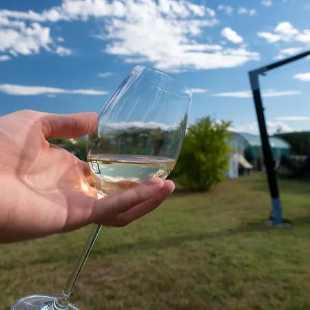 La Picchiera - Jole * La Morra